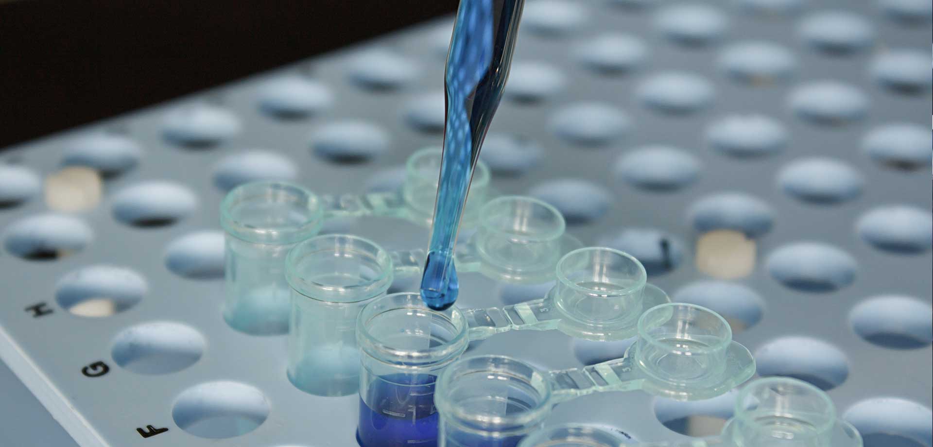 生物工程